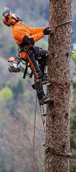 Reťazová píla STIHL MS 462 C-M